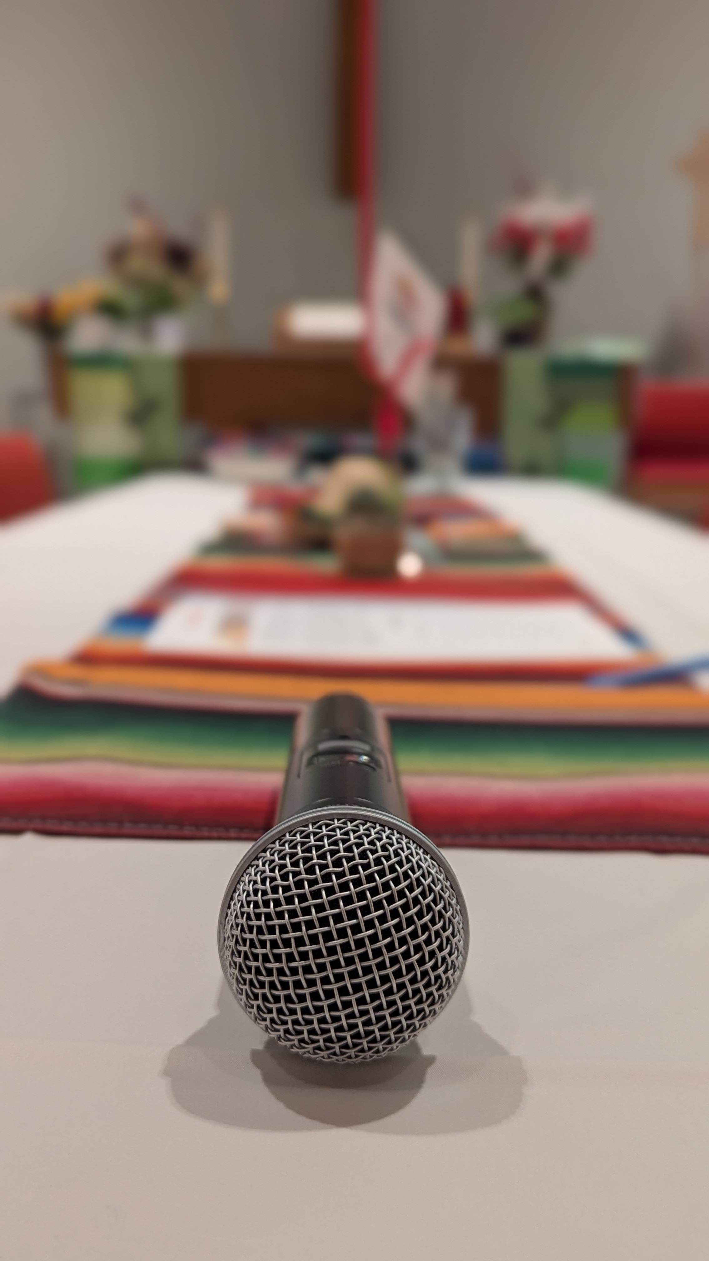 Dinner Auction - image 5